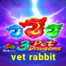 vet rabbit